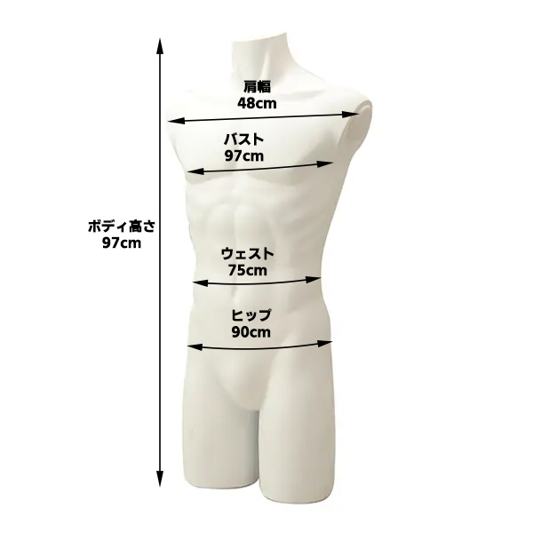 メンズリアル卓上トルソ(腕なし)
