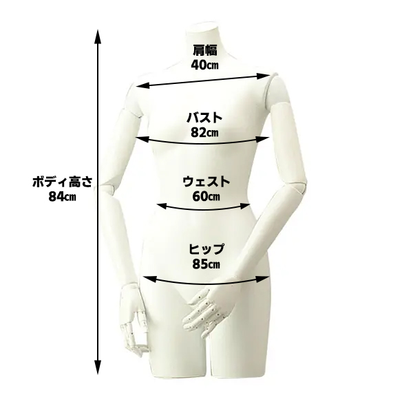 レディスリアル卓上トルソ(可動式ホワイトアーム)