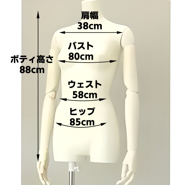 レディス・リアルトルソ(7号)(可動式アイボリーアーム)