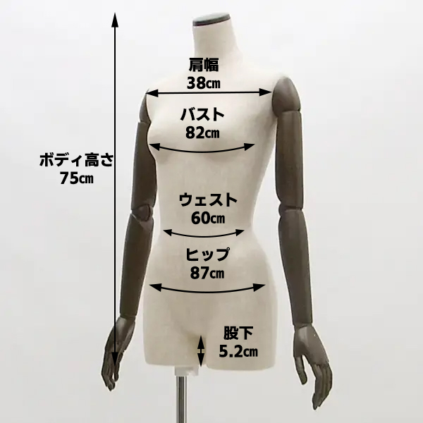 レディス・ハイグレードボディ(ブラウンアーム)