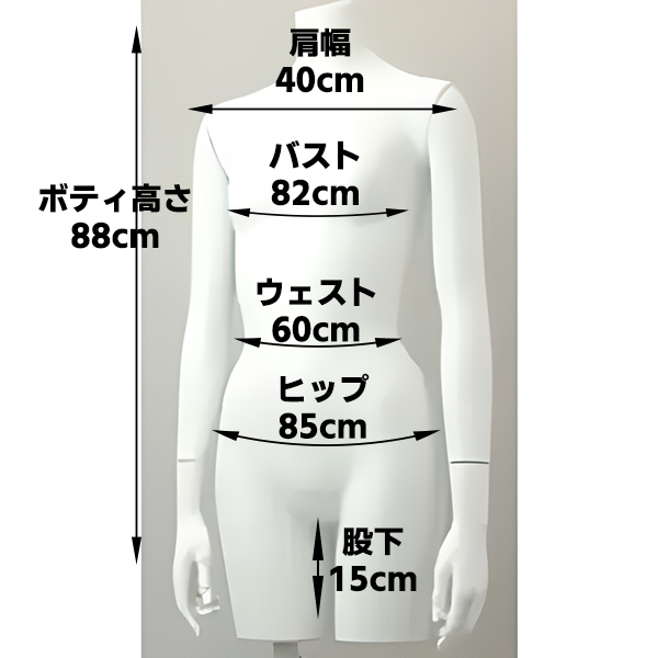 レディス・グラマーリアルトルソー(リアルアーム)
