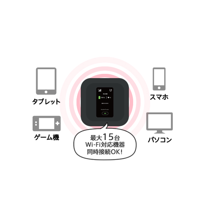 docomo FS040W(30GB)