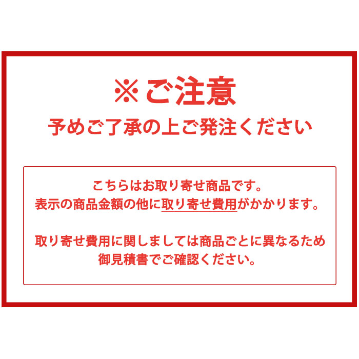 SoftBank FS040W(100GB)