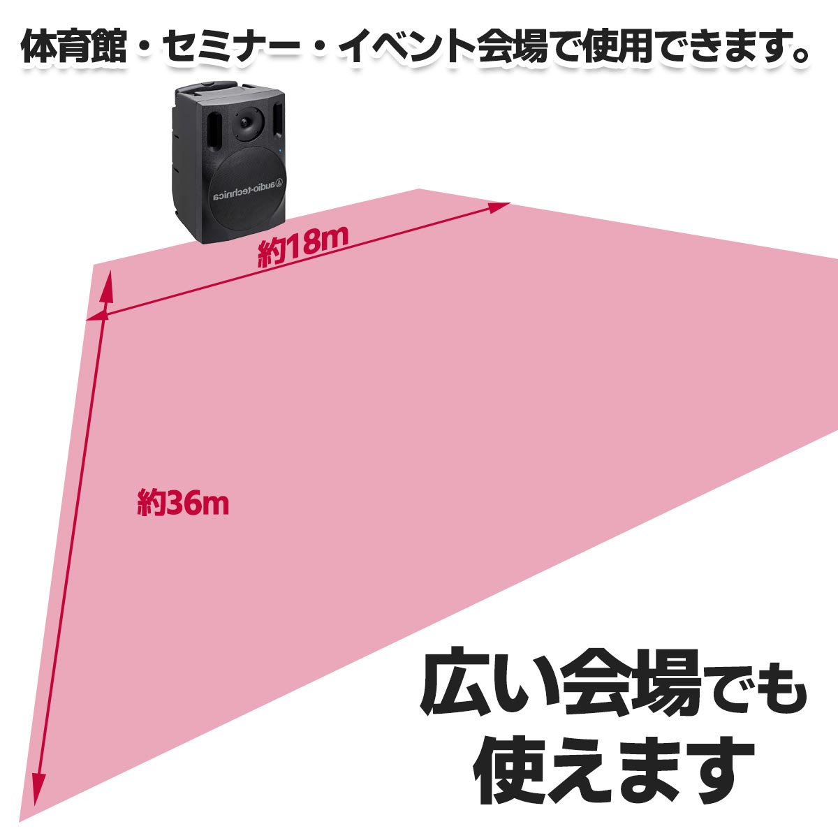 ワイヤレスアンプ　（有線マイク2本）